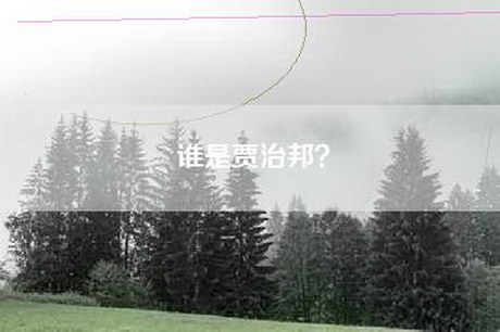 谁是贾治邦？