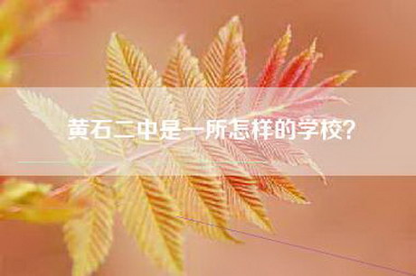 黄石二中是一所怎样的学校？