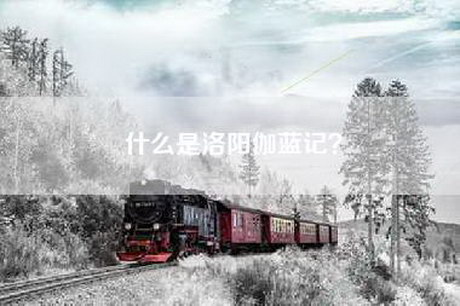 什么是洛阳伽蓝记？