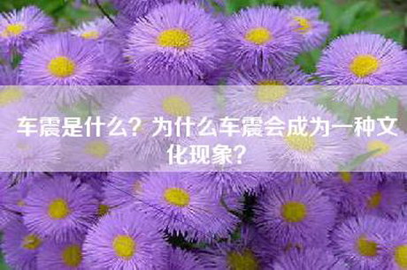 车震是什么？为什么车震会成为一种文化现象？