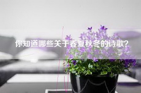 你知道哪些关于春夏秋冬的诗歌？