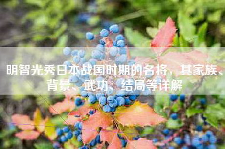 明智光秀日本战国时期的名将，其家族、背景、武功、结局等详解