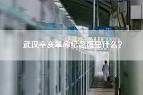 武汉辛亥革命纪念馆是什么？