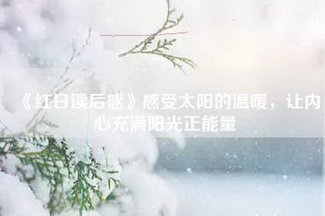《红日读后感》感受太阳的温暖，让内心充满阳光正能量