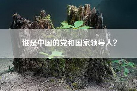谁是中国的党和国家领导人？