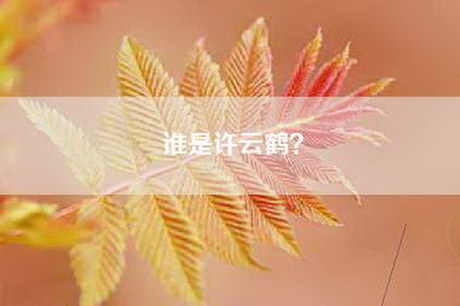 谁是许云鹤？