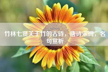 竹林七贤关于竹的古诗，唐诗宋词，名句赏析
