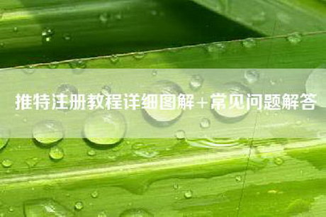 推特注册教程详细图解+常见问题解答