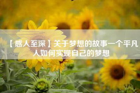 【感人至深】关于梦想的故事一个平凡人如何实现自己的梦想
