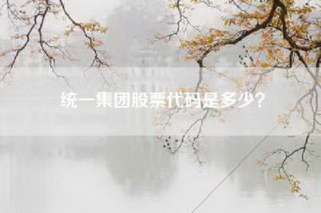 统一集团股票代码是多少？