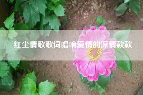 红尘情歌歌词唱响爱情的深情款款