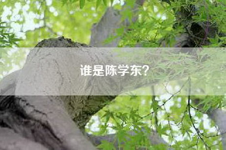 谁是陈学东？