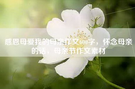 感恩母爱我的母亲作文600字，怀念母亲的话，母亲节作文素材