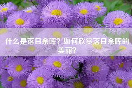 什么是落日余晖？如何欣赏落日余晖的美丽？