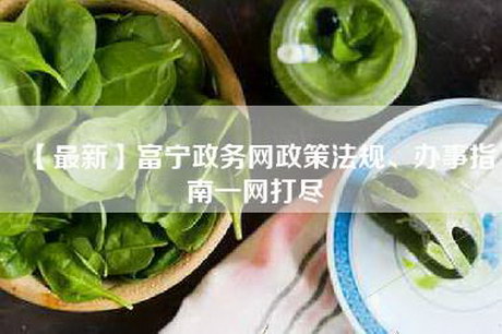 【最新】富宁政务网政策法规、办事指南一网打尽