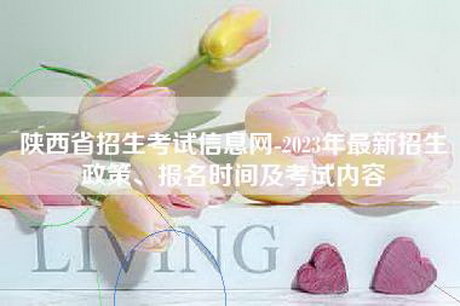 陕西省招生考试信息网-2023年最新招生政策、报名时间及考试内容