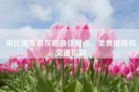 莱比锡旅游攻略最佳景点、美食推荐和交通指南