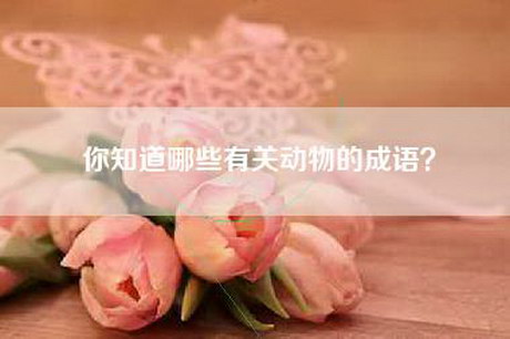 你知道哪些有关动物的成语？