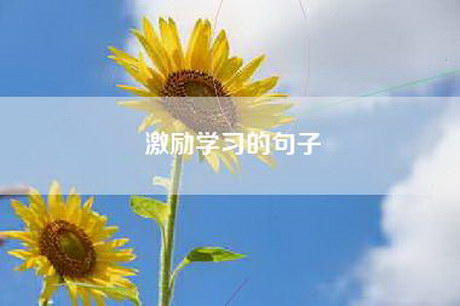 激励学习的句子