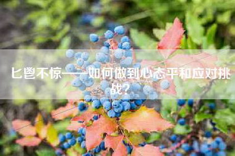 匕鬯不惊——如何做到心态平和应对挑战？