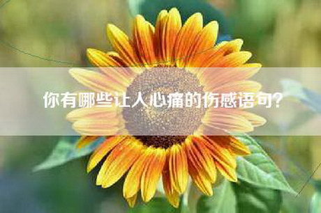 你有哪些让人心痛的伤感语句？
