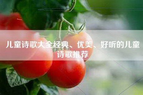 儿童诗歌大全经典、优美、好听的儿童诗歌推荐