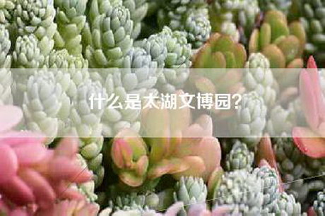 什么是太湖文博园？