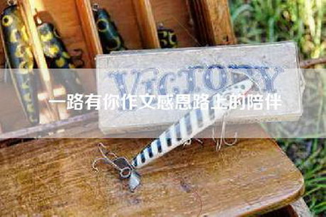 一路有你作文感恩路上的陪伴