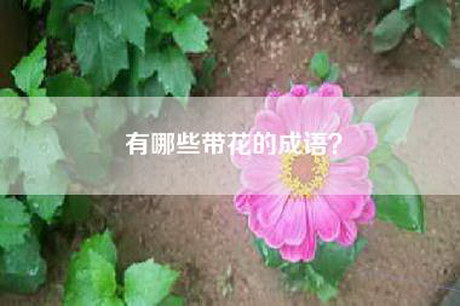 有哪些带花的成语？