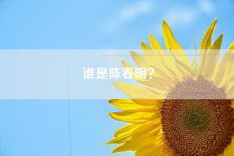 谁是陈春明？