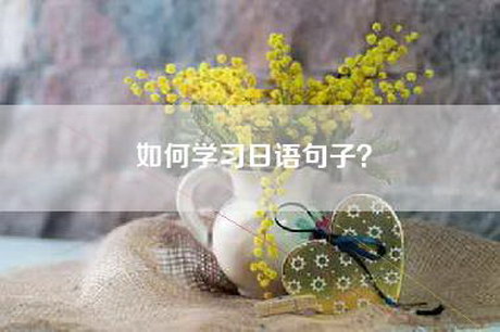 如何学习日语句子？
