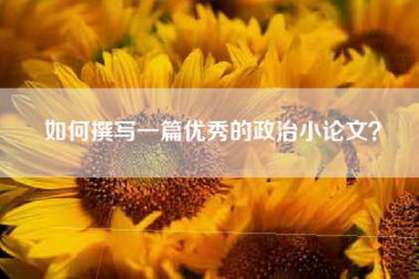 如何撰写一篇优秀的政治小论文？