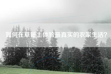 如何在草留上体验最真实的农家生活？