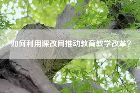 如何利用课改网推动教育教学改革？