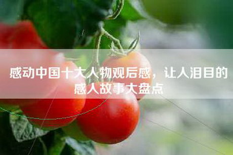 感动中国十大人物观后感，让人泪目的感人故事大盘点