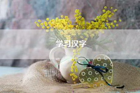 学习汉字