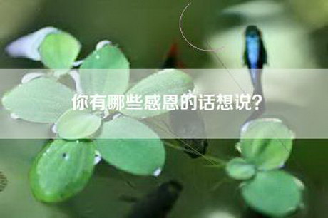 你有哪些感恩的话想说？