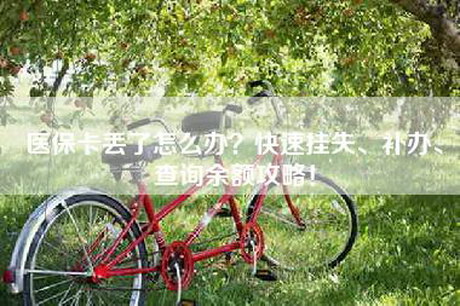 医保卡丢了怎么办？快速挂失、补办、查询余额攻略！
