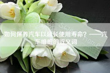 如何保养汽车以延长使用寿命？——汽车维护的近义词