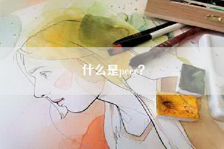 什么是peer？