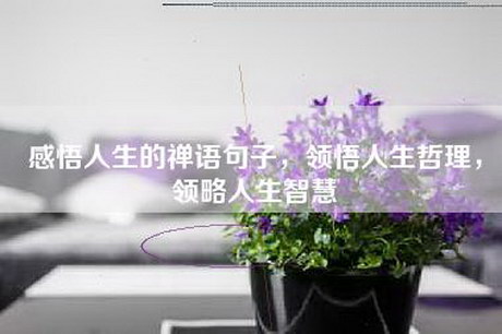感悟人生的禅语句子，领悟人生哲理，领略人生智慧