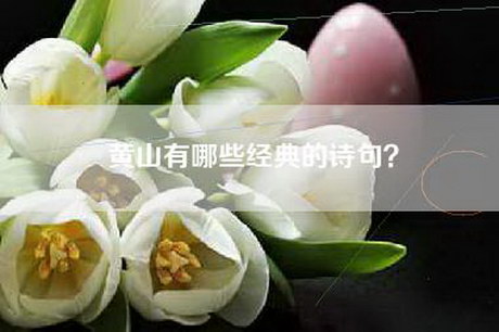 黄山有哪些经典的诗句？