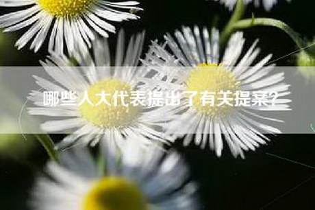 哪些人大代表提出了有关提案？