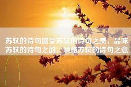 苏轼的诗句感受苏轼的诗句之美，品味苏轼的诗句之韵，领略苏轼的诗句之意