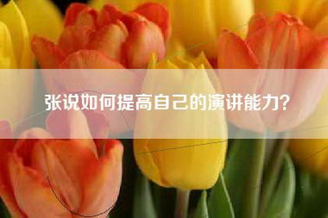 张说如何提高自己的演讲能力？