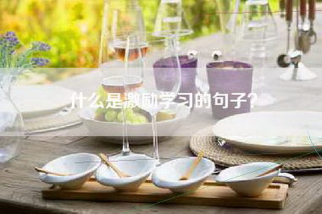 什么是激励学习的句子？