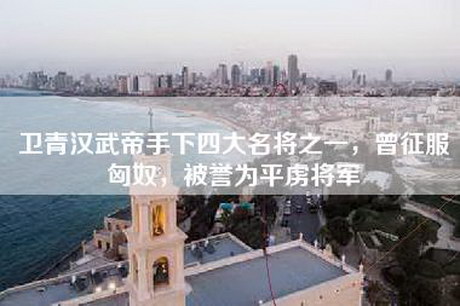 卫青汉武帝手下四大名将之一，曾征服匈奴，被誉为平虏将军