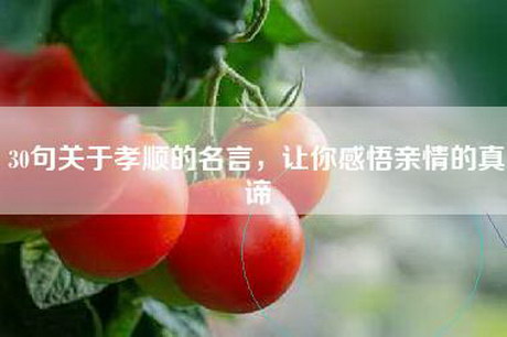 30句关于孝顺的名言，让你感悟亲情的真谛