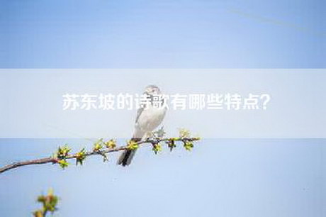 苏东坡的诗歌有哪些特点？