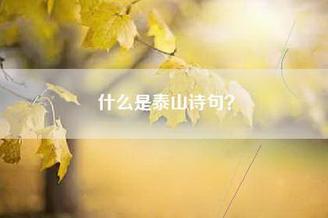 什么是泰山诗句？